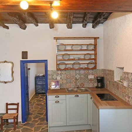 Le Petit Chateau Ano Syros Esterno foto